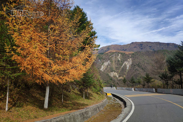 大巴山最后的秘境:镇坪化龙山·飞渡峡的迷人秋色