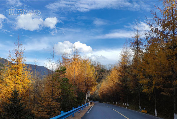 大巴山最后的秘境:镇坪化龙山·飞渡峡的迷人秋色