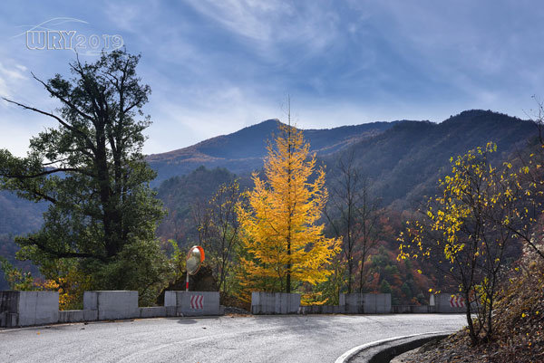 大巴山最后的秘境:镇坪化龙山·飞渡峡的迷人秋色