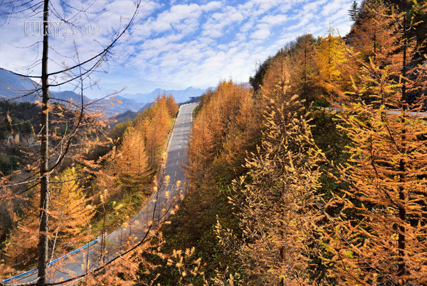 大巴山最后的秘境:镇坪化龙山·飞渡峡的迷人秋色