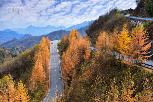 大巴山最后的秘境:镇坪化龙山·飞渡峡的迷人秋色