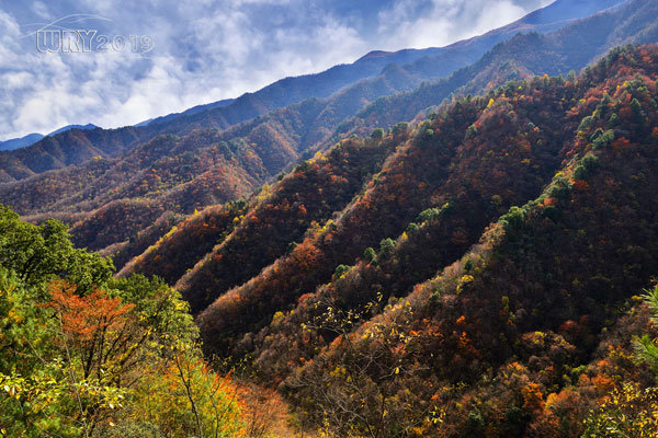 大巴山最后的秘境:镇坪化龙山·飞渡峡的迷人秋色