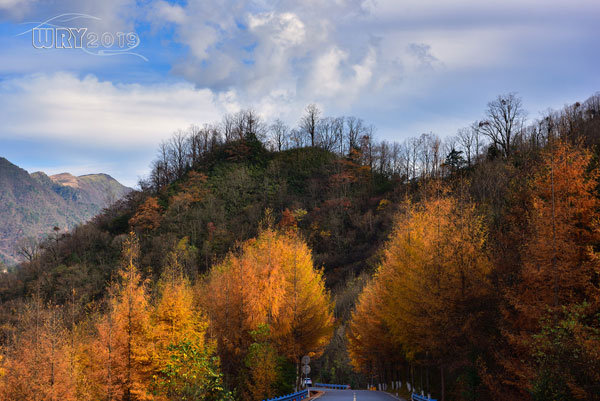 大巴山最后的秘境:镇坪化龙山·飞渡峡的迷人秋色