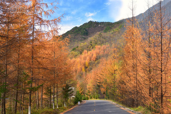 大巴山最后的秘境:镇坪化龙山·飞渡峡的迷人秋色