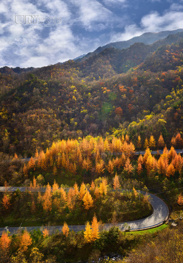 大巴山最后的秘境:镇坪化龙山·飞渡峡的迷人秋色