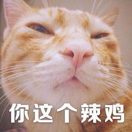 奉献富婆阔太上位？套牢女金猪被砸钱捧出道的当红小生！