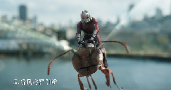《蚁人2：黄蜂女现身》高清迅雷下载BD中英双字