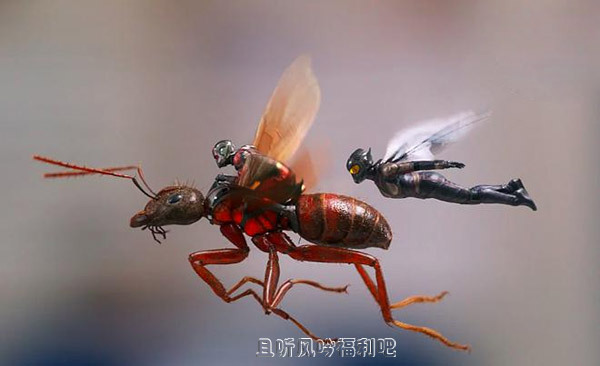 《蚁人2：黄蜂女现身》高清迅雷下载BD中英双字
