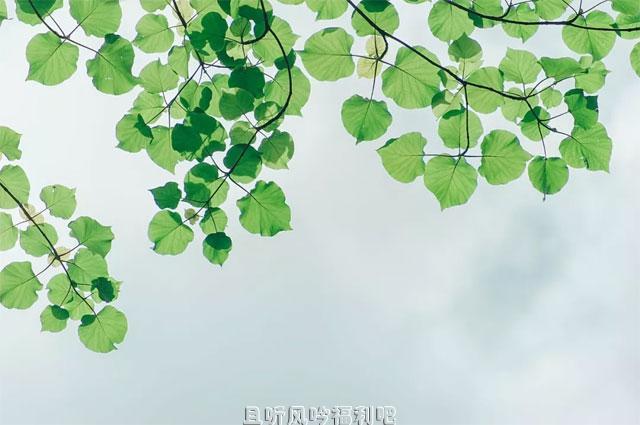 [心灵鸡汤]七月再见,八月你好！