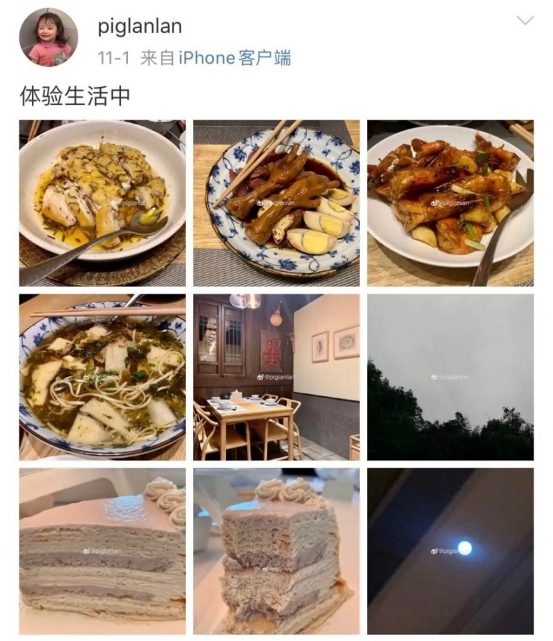 小伊伊怀孕？小霸宠整容过度？快手小凡尔赛​？活体宠物娃娃机停运？吕咏蓝体验生活被喷？