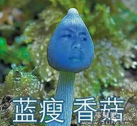 蓝瘦香菇是什么意思 蓝瘦香菇这个梗的视频在这里