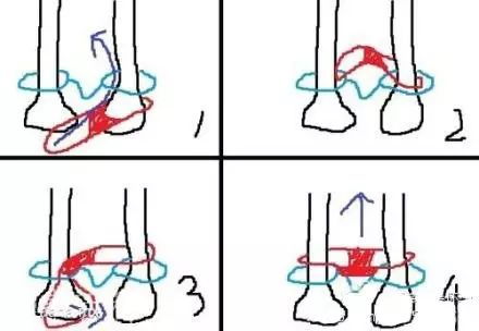 四大世界未解之谜——小昭内裤之谜、黄蓉胸部的苹果猜想