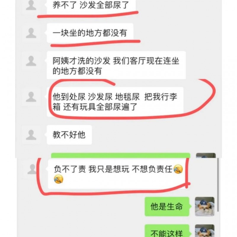 史莱姆泥致人细菌感染？抖人吃王金金舌苔？汉服走秀面具被偷？网红西施当街被抢？相宜博士学位造假？