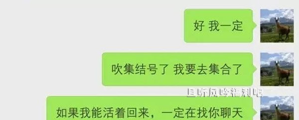 漂流瓶雇佣兵什么梗 漂流瓶雇佣兵完整聊天记录原图