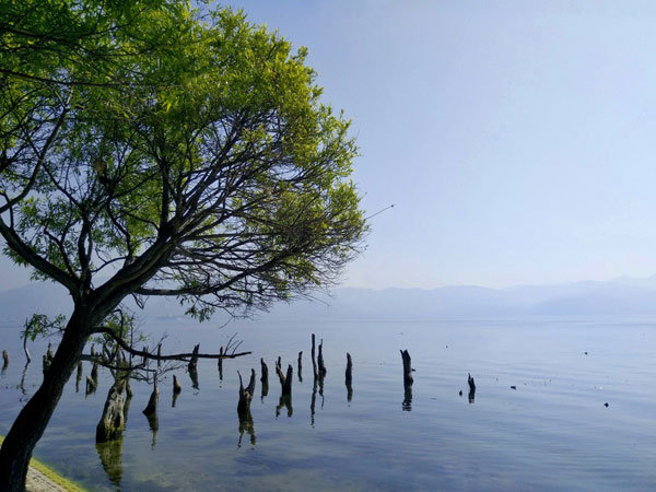 云南10天旅游攻略及花费 一路向西赴一场说走就走的旅行