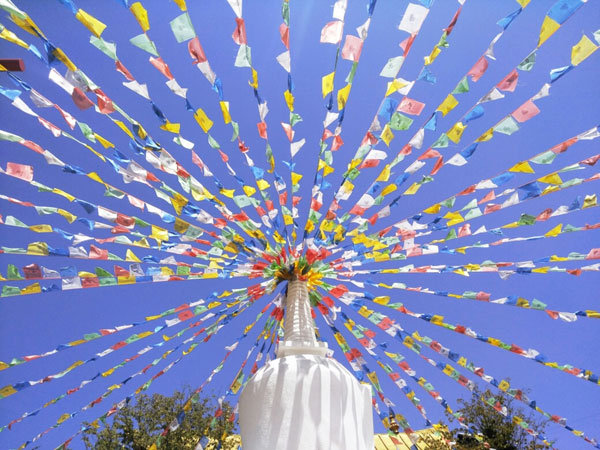 云南10天旅游攻略及花费 一路向西赴一场说走就走的旅行