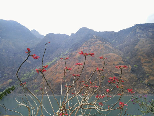 云南10天旅游攻略及花费 一路向西赴一场说走就走的旅行