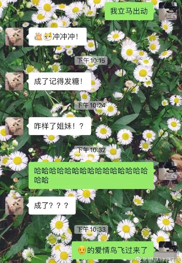 草率了：喜欢的男生发了条仅对我可见的朋友圈