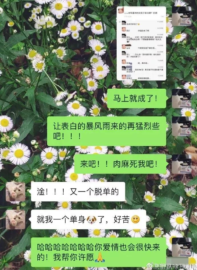 草率了：喜欢的男生发了条仅对我可见的朋友圈