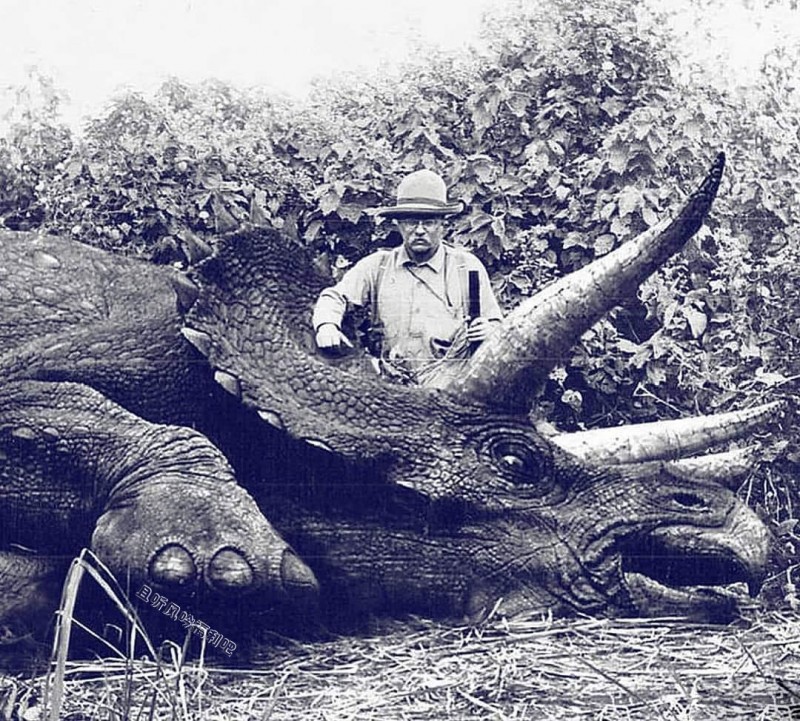[辟谣]世界上最后一只三角龙1887年被英国人在新西兰杀死